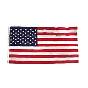 U.S. Flag resized 600