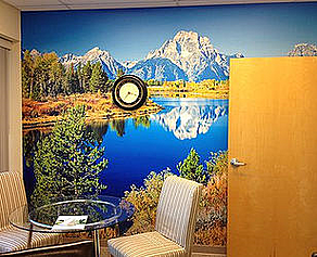 Vinyl Wall Graphics Los Angeles