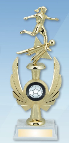 Laser Engraved Soccer Trophies Los Angeles